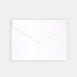 Pqt 25 enveloppes 120x180 vergé blanc