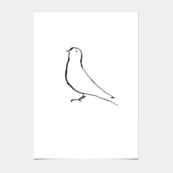 Kunstposter - Vogel - 01