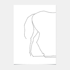 Affiche d'Art - Horse - 13