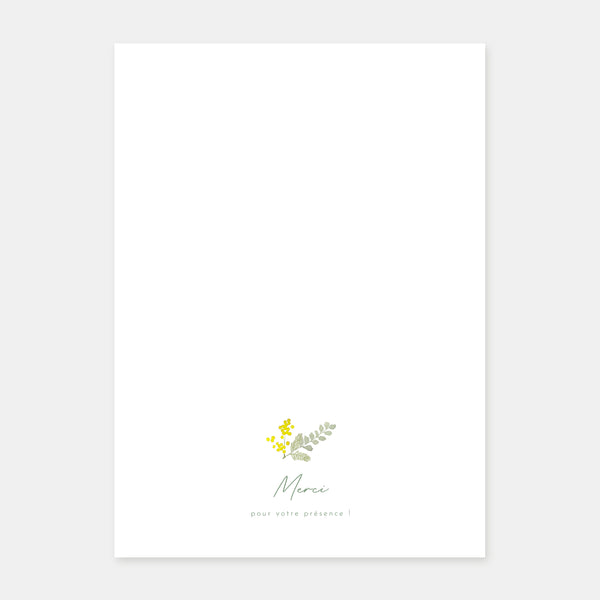 Mimosa baptism booklet