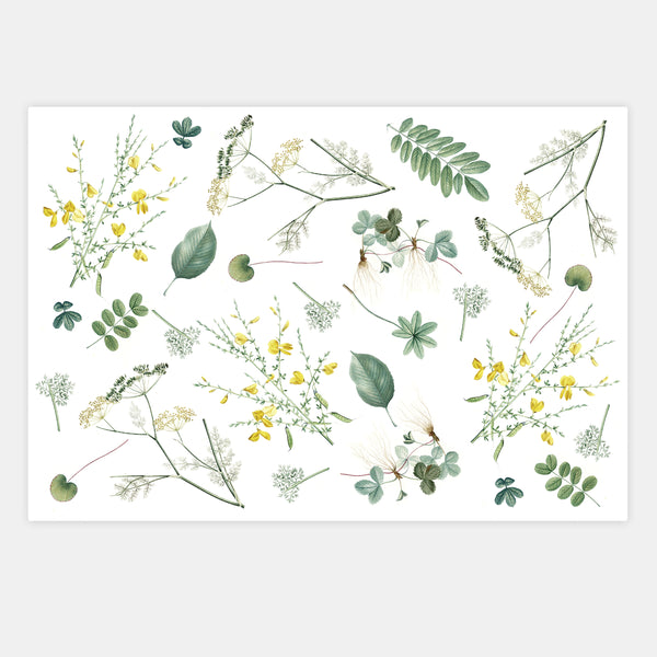 Country tracing sheet