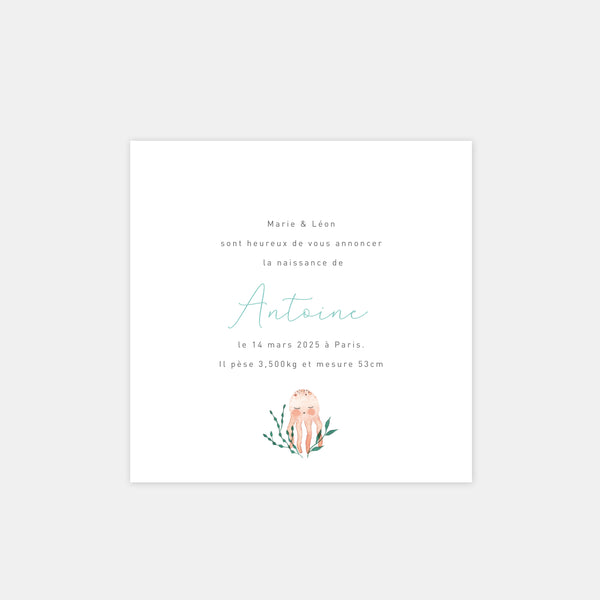 Little octopus birth announcement
