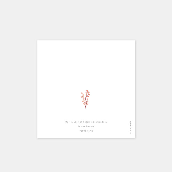 Little octopus birth announcement