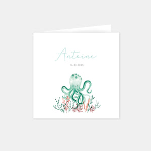 Faire-part naissance petite pieuvre