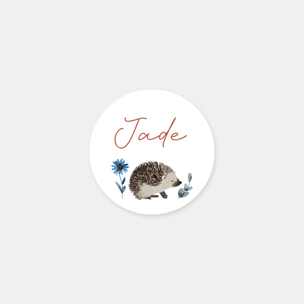 Stickers personnalisés naissance hérisson