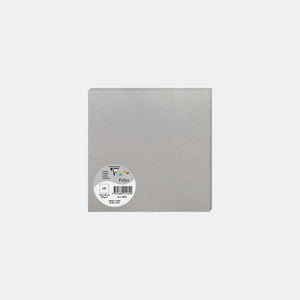 Carte 160x160 irisé 210g argent Pollen