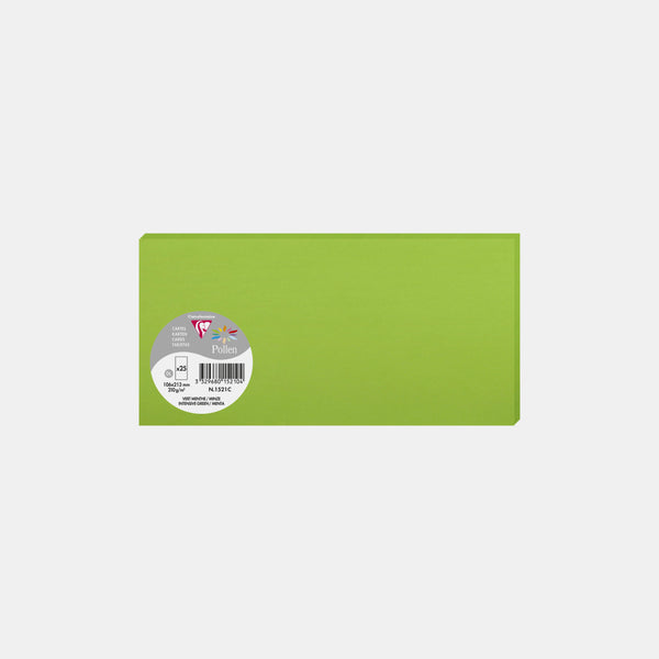 Carte 106x213 velin 210g vert menthe Pollen
