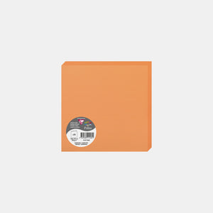 Carte pré pliée 160x320 velin 210g orange clémentine Pollen