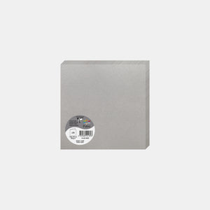 Carte pré pliée 160x320 irisé 210g argent Pollen