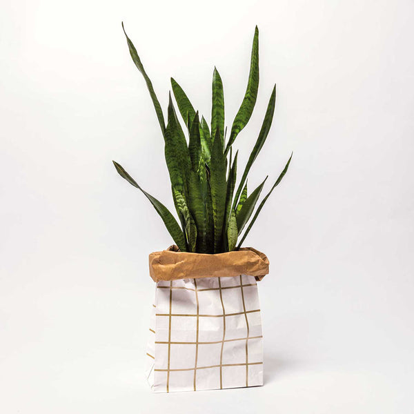 Sac en papier Fond plat or et blanc - X large