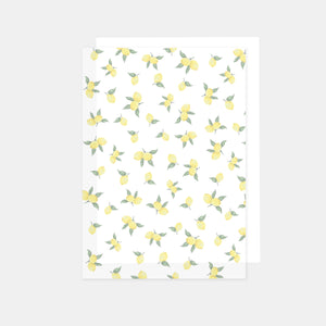 Feuille a4 papier calque imprimé 90g citrons