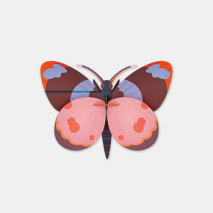 Papillon Bellissima  - Studio Roof