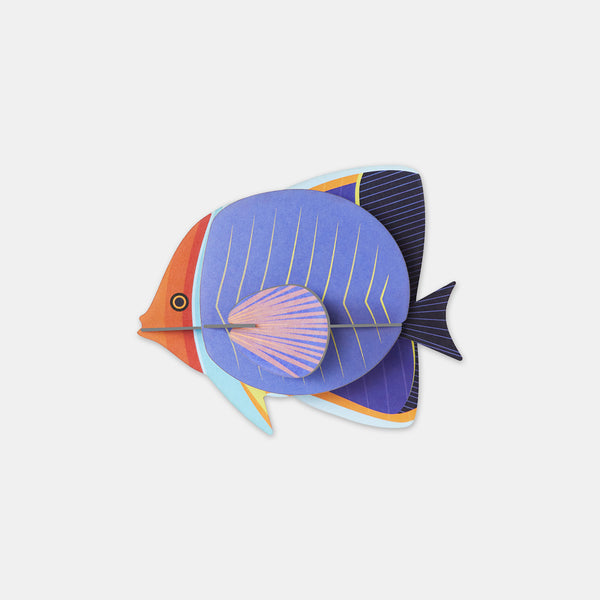 Butterfly Fish - Studio Roof