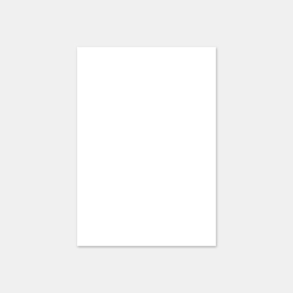 Writing paper - A5 Eucalyptus