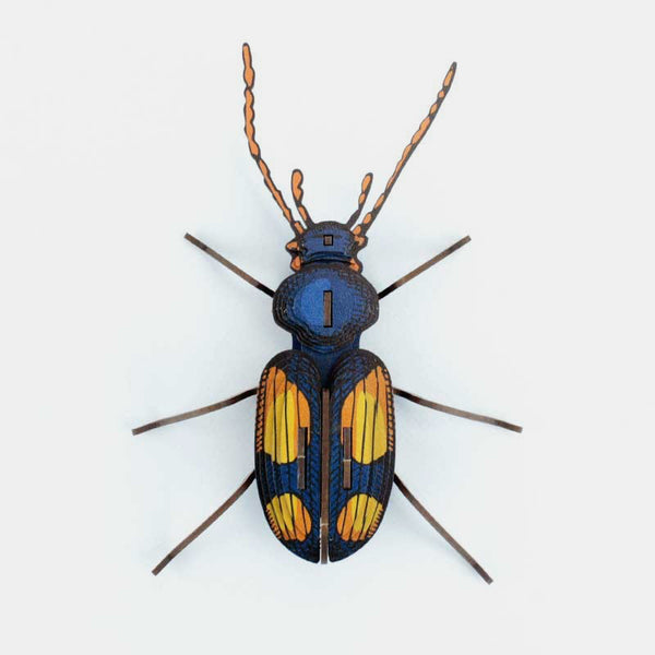 Insectes Chatouillus 3D