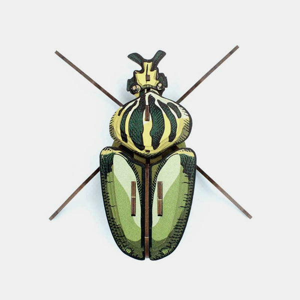 Globulus giganticus 3D insects