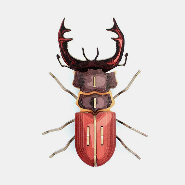 Insectes Mordicus 3D