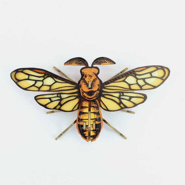 3D Noctambulus Insect