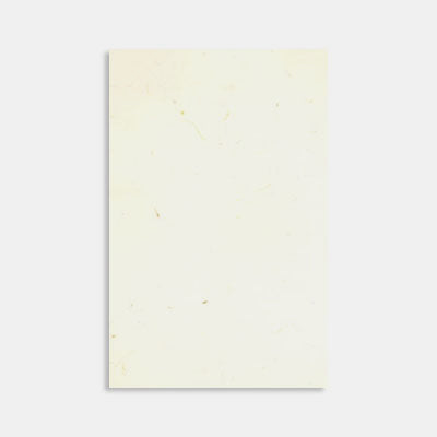 Packung mit 100 Blatt A4-Strohpapier, 120 g