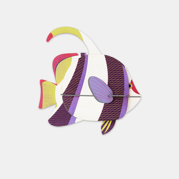 Marine Angelfish - Studio Roof