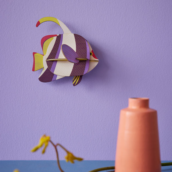 Marine Angelfish - Studio Roof