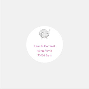 Personalized birth stickers my mouse