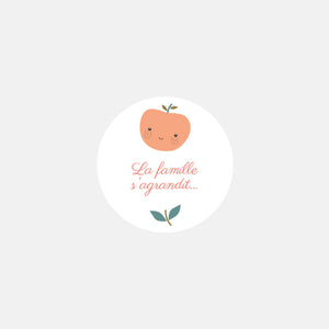 Personalisierte Sticker Geburt Familie Äpfel