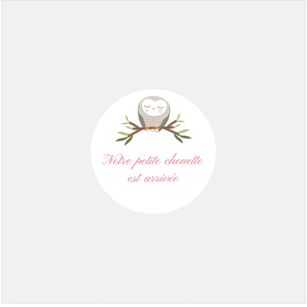 Custom birth stickers owl family