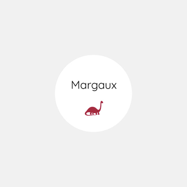 Stickers personnalisés naissance polaroid petit dinosaure