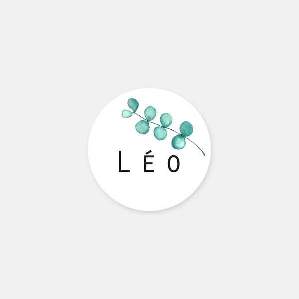 Personalized eucalyptus birth stickers