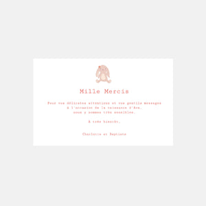 Carte de remerciement naissance Doudou Fille