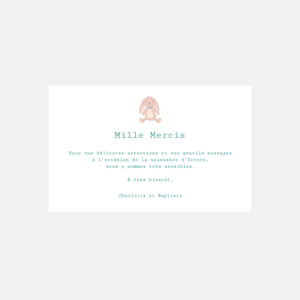 Carte de remerciement naissance Doudou Garçon