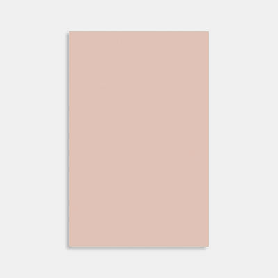 A4 sheet of metallic paper 120g nude
