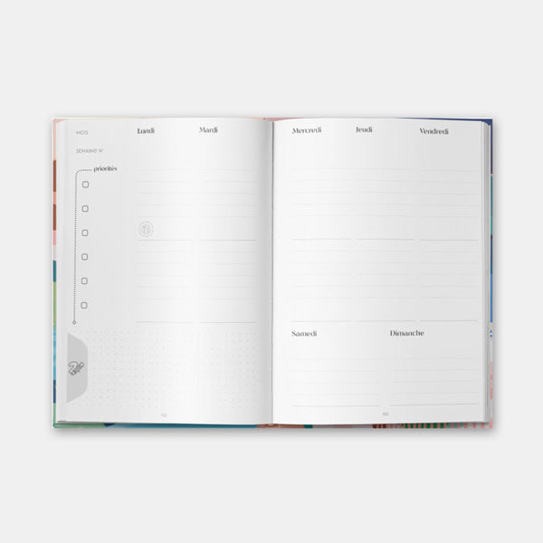 My 2023 Citrus Planner