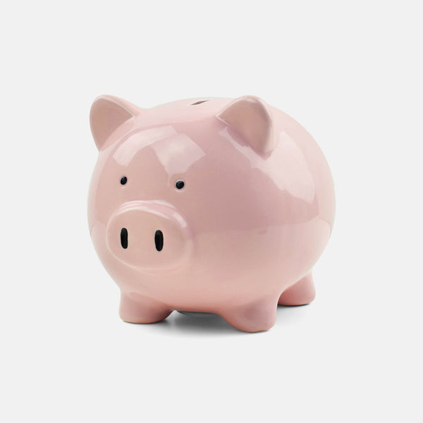Sparschwein - Schwein